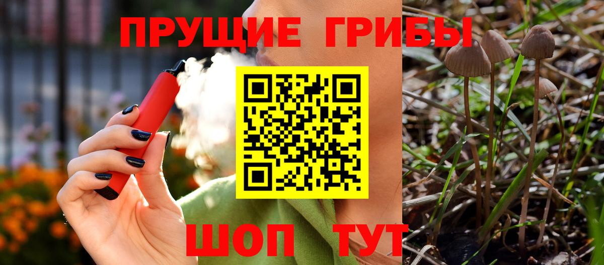 Псилоцибиновые грибы MAGIC MUSHROOMS Родники